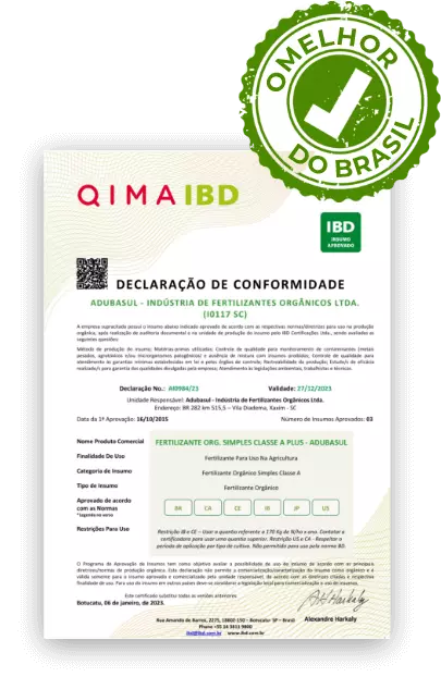 O MELHOR DO BRASIL,