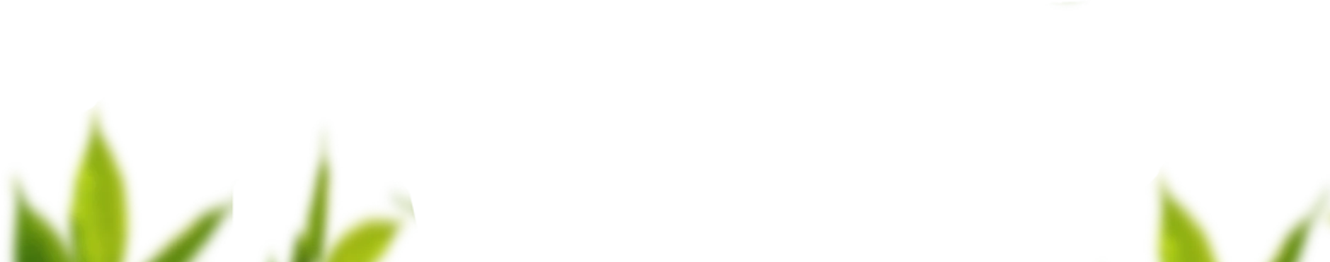 Adubasul